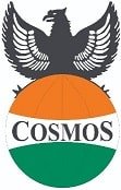 Cosmos Security Services