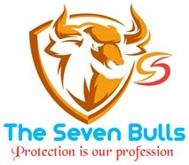 The Seven Bulls Security & Allied Services